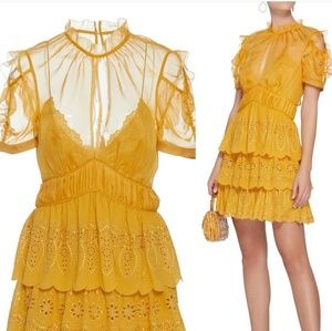 Designer Embroidered Tiered Chiffon Mini Dress